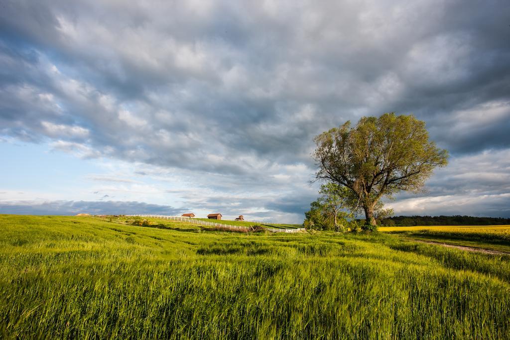 Palac Ciekocinko Hotel Resort & Wellness Εξωτερικό φωτογραφία